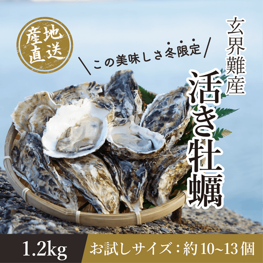 玄界灘・唐津産 生牡蠣 1.2kg