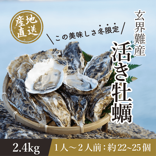 玄界灘・唐津産 生牡蠣 2.4kg