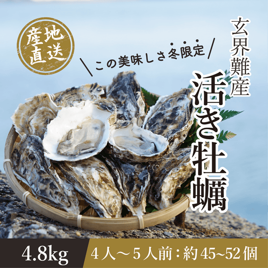 玄界灘・唐津産 生牡蠣 4.8kg