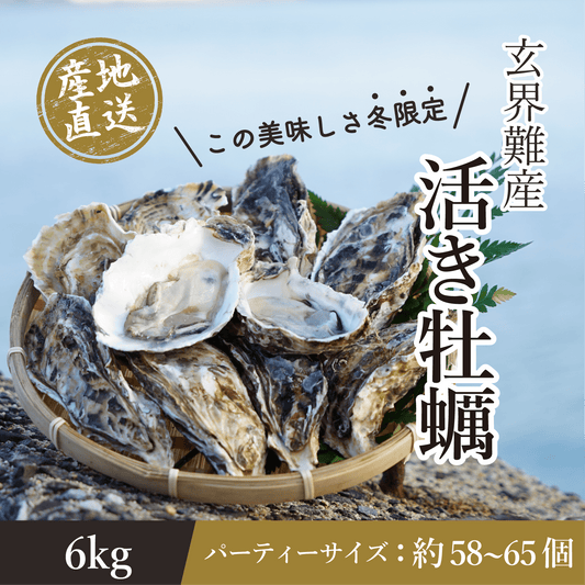 玄界灘・唐津産 生牡蠣 6.0kg